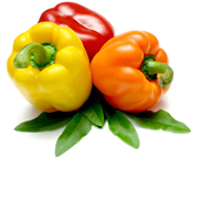 Paprika